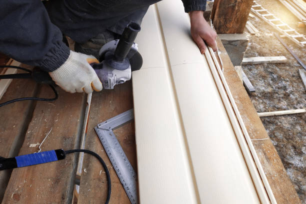 Affordable Siding Repair and Maintenance Services in Charlotte, MI